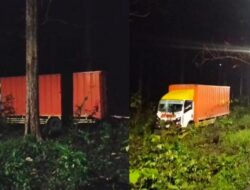 Truk Kehilangan Kendali Hendak Nyalip Nyungsep di Hutan 