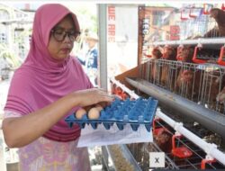 Bupati Bojonegoro Instruksikan ASN dan SPPG Beli Telur Peternak Lokal 