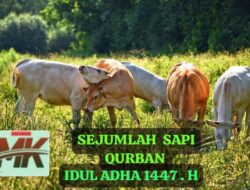 KLARIFIKASI  ” E ” TIDAK BENAR SAYA MEMINTA UANG, KE OPD UNTUK PEMBELIAN SAPI QURBAN “