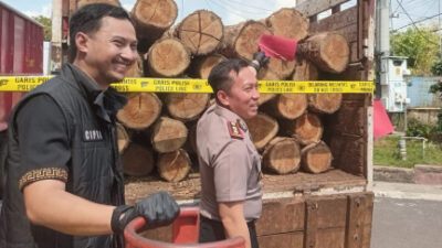 Puluhan Kubik Kayu Ilegal Berhasil Diamankan Polres Bojonegoro 