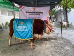 Bojonegoro Terima Bantuan Sapi Kurban Dari Presiden RI