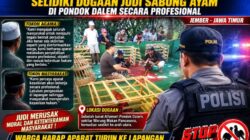 IMG 20260727 WA0141(1)