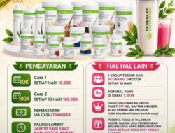 Jebakan “Arisan Diskon” Berkedok Herbalife! Oknum di Alasbuluh Jual Produk Tanpa Lisensi, Konsultan Resmi Peringatkan: “Hati-Hati, Ini Penipuan Terselubung!”