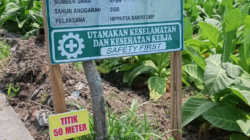 Proyek irigasi Tersier Desa Ajung di sorot!!! Diduga spesifikasi terungkap, Volume belum jelas