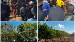 PTPN I Regional 5 Laksanakan Penertiban dan Pengamanan Aset Perusahaan di Kebun Mumbul dan Kebun Glantangan