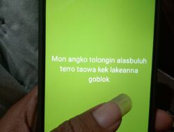 IMG 20260804 WA0036