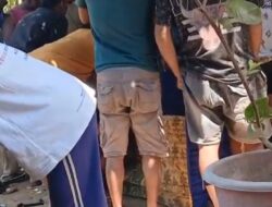 DARURAT MORAL DI WONGSOREJO! Sabung Ayam Berkedok “Arisan” Mencekik Alasbuluh, Warga Berseru: “BUBARKAN SEKARANG JUGA!” Demi Keselamatan Lingkungan & Ibadah