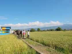 Pertanian Bantaeng Tetap Tumbuh 1,97 Persen di Tengah Tekanan Kemarau
