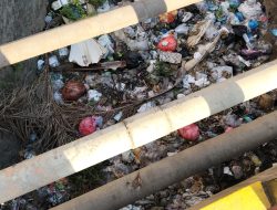 STOP JADIKAN KOLONG JEMBATAN SEBAGAI TONG SAMPAH RAKSASA! Warga Wongsorejo Diingatkan: Kebersihan Adalah Cermin Martabat, Pemdes Siap “Tandang Bareng” Bersihkan Sampah