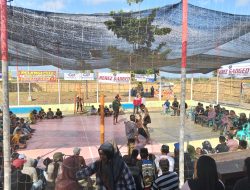 DEBURAN ROTAN PEMBUAT HUJAN? Ojung Kembali Gegarkan RTH Alasrejo, Ribuan Penonton Lintas Kabupaten Terhipnotis Aksi Adu Ketangkasan Warisan Leluhur