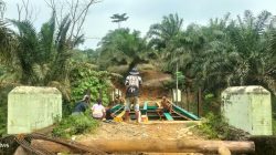 IMG 20261006 WA0181